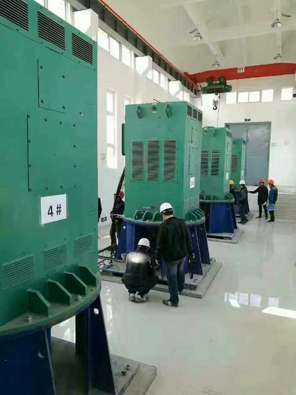 顺庆某污水处理厂使用我厂的立式高压电机安装现场